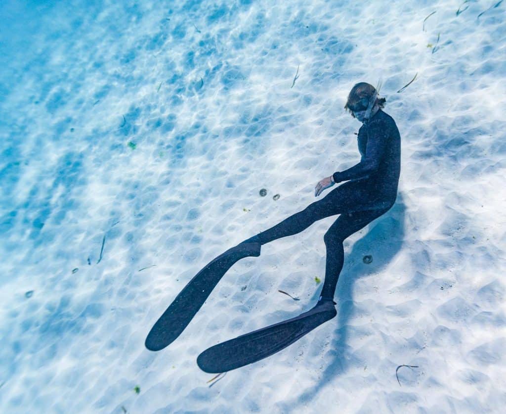 Seaweed Farmer free diving underwater to look at his Asparagopsis